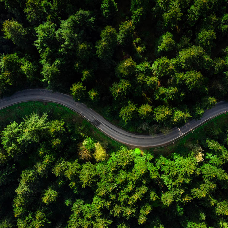 Winding road trough dense pine forest. Aerial drone view, top down.