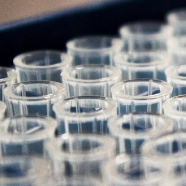 Cultivate a Lab Mindset