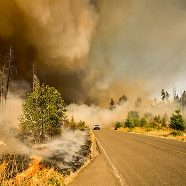 As Wildfires Get Costlier and Deadlier, Insurers and Utilities Pay the Price