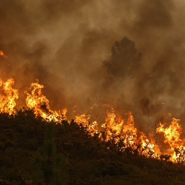 Insuring Against Wildfire Risks: The Case for Parametric Insurance