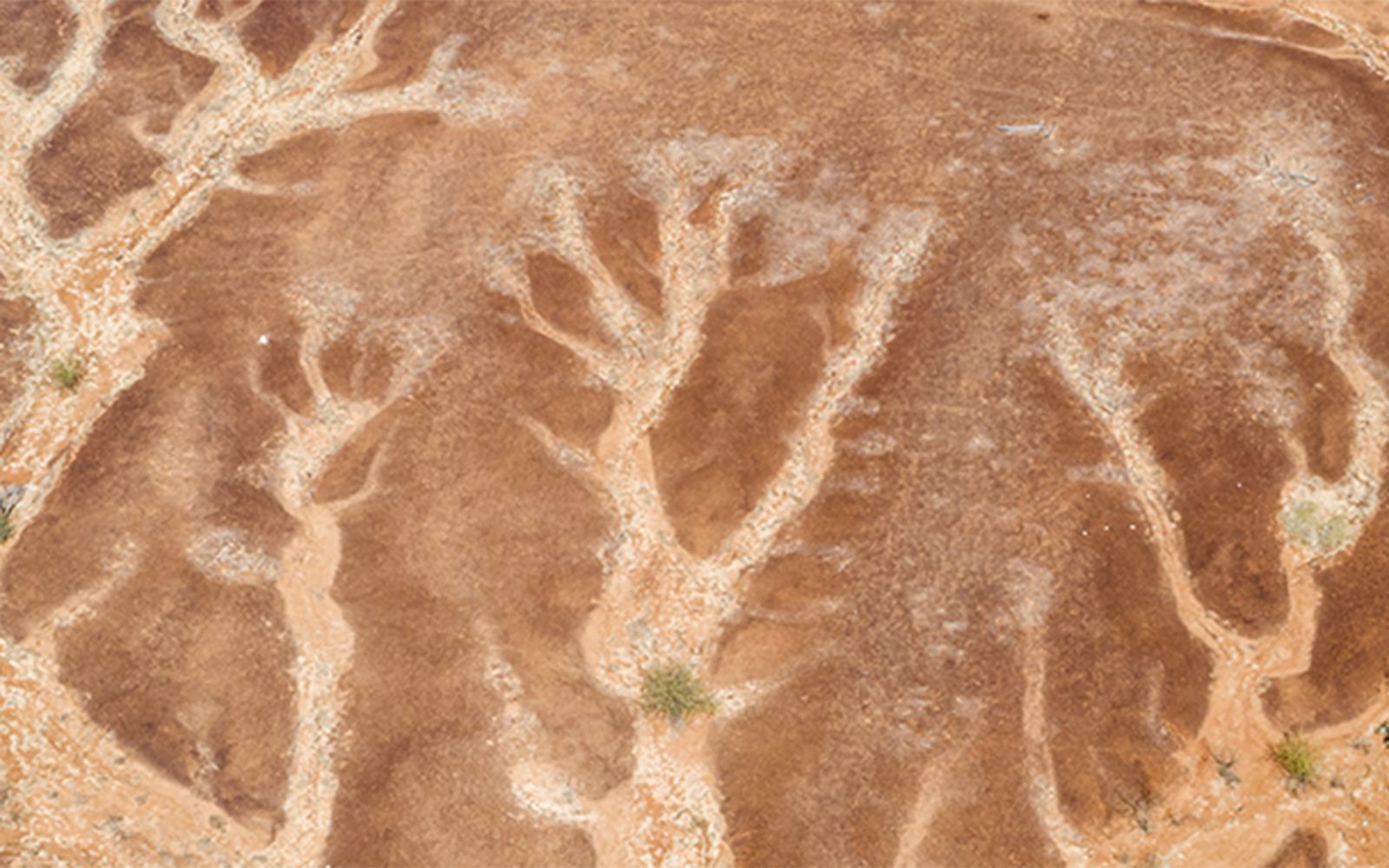 From Climate Risk To Opportunity