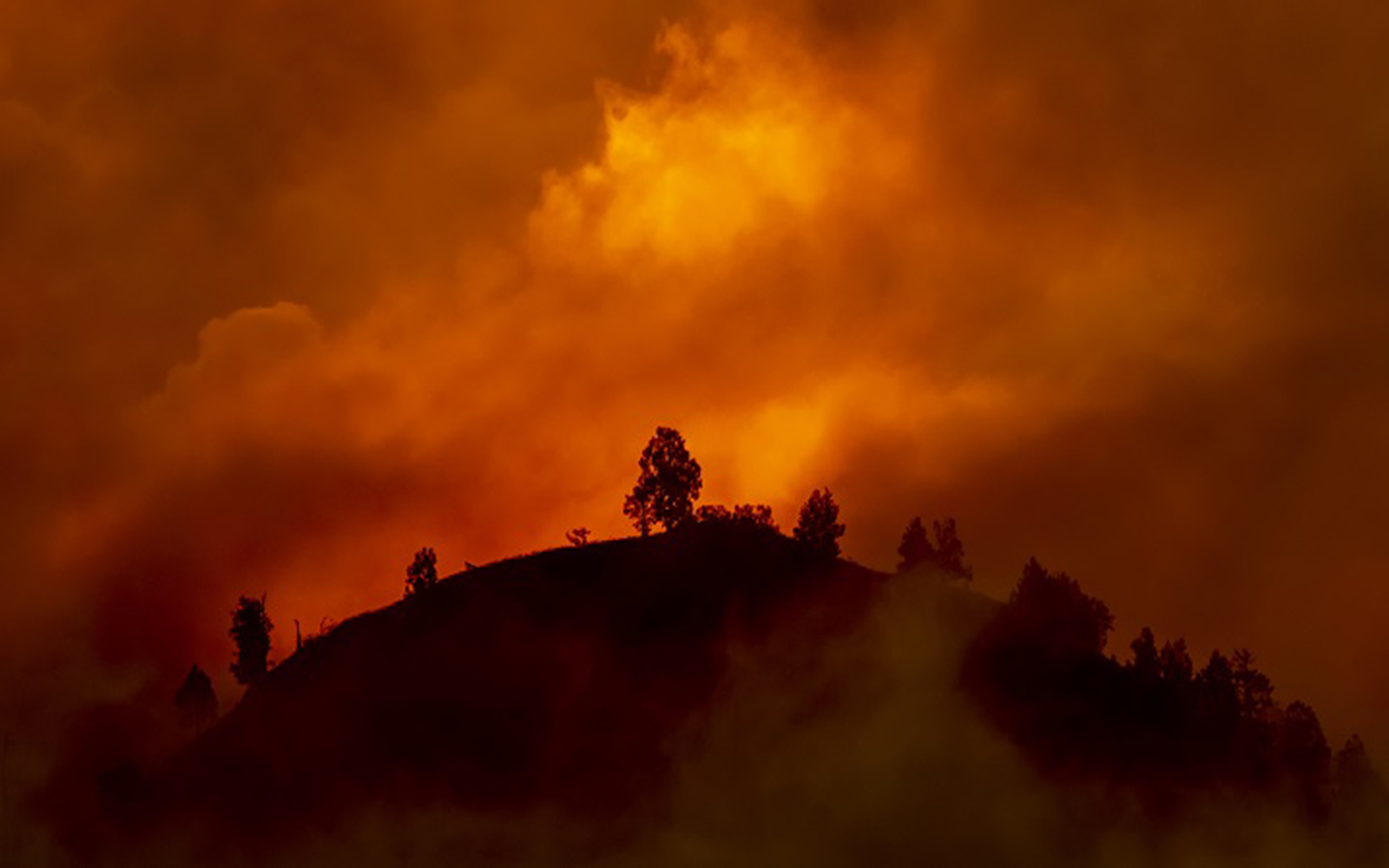 Community-based Catastrophe Insurance for Wildfire Risk