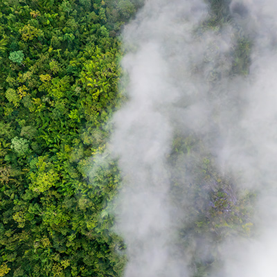 Global climate resilience hub