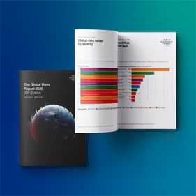 The Global Risks Report