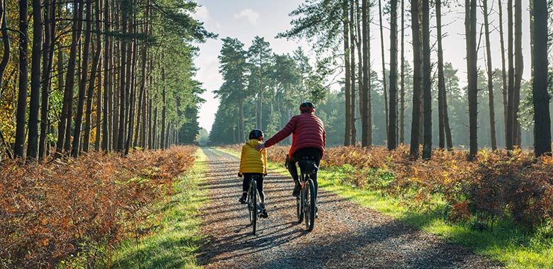 The 2024/2025 Skills Snapshot Survey report