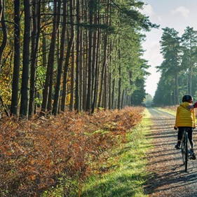 The 2024/2025 Skills Snapshot Survey report